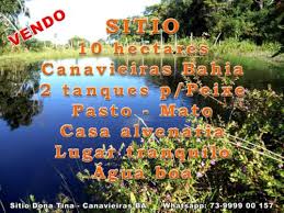 Ludwig van beethoven — moonlight sonata ( 3rd movement ) tina s cover 06:04. Sitio Dona Tina Canavieiras Bahia