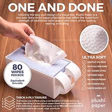 But are flushable wipes safe for septic and sewer systems really? Plushi Paper Toilet Paper Holder 4 Boxes 320 Wipes Septic Safe Tube Free 4 Ply Soft Rv Essential And Mom Approved For Travel Trailers Campers Marine Biodegradable Set Includes Self Adhesive Pricepulse