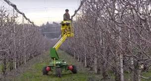 We did not find results for: Mobile Platform Used To Cleaning And Cutting The Fruit Trees In The Download Scientific Diagram