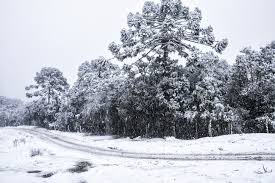 O frio sentido nos últimos dias no brasil, especialmente nas regiões sul e sudeste, devem continuar nos próximos dias. Egmhbhqfgu5ghm