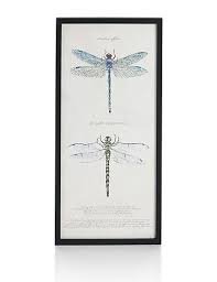 Dragonflies Wall Art M S Dragonfly Wall Art Wall Art Dragonfly Prints