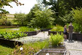 Der botanische garten barcelona, in einem 14 hektar großen gelände am berg montjuïc, ist eine nachbildung von ökosystemen aus unterschiedlichen teilen der welt mit ähnlichen landschaften. Botanischer Garten Things To Do In Weinegg Switzerland