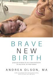 Brave New Birth by Andrea Olson Digital Package