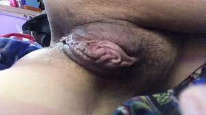 Rule 34 - After Anal Alternate Version Available Donussy Donut