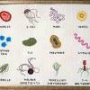 Download your free cross stitch pattern for free and enjoy countless hours of stitching. 1