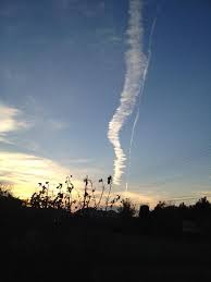 The site owner hides the web page description. æ˜¨æ—¥ã®å¤•æ–¹ ç©ºã‚'è¦‹ä¸Šã'ãŸã‚‰ åœ°éœ‡é›² I035 Okuta ãƒªãƒ•ã‚©ãƒ¼ãƒ  ãƒžãƒ³ã‚·ãƒ§ãƒ³ãƒªãƒ•ã‚©ãƒ¼ãƒ ãªã‚‰lohas Studio ãƒ­ãƒã‚¹ã‚¹ã‚¿ã‚¸ã‚ª Presented By Okuta ã‚ªã‚¯ã‚¿