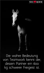 Pferdemadchen Kennen Die Bedeutung Von Teamwork Pferd Reiten Bedeutung Die Kennen Pferd Pferdemadchen Re Reit Zitate Pferdespruche Zitate Fur Reiter