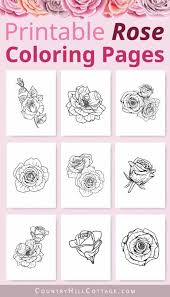 These spring coloring pages are sure to get the kids in the mood for warmer weather. Free Printable Rose Coloring Pages 10 Realistic Designs For Adults