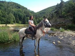 L Allier Et Sa Plage Et Mon Cheval Engreida Picture Of Hotel Le Pain De Sucre Monistrol D Allier Tripadvisor