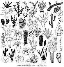 Black And White Cactus Drawing Black And White Hand Drawn Cactus And Succulents Vector Set With Succulents Flowers Concrete Pots An Succulents Illustration Cactus Drawing How To Draw Hands