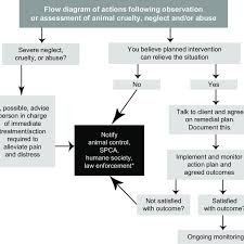 A Flow Diagram Of Actions Following Observation Of An Animal
