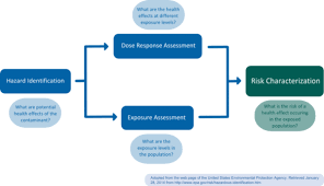 Enter search terms and tap the search button. Chemical Risk Assessment Food Packaging Forum