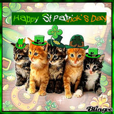 We did not find results for: St Patricks Day 4 Happy St Patricks Day St Patricks Day Meme St Patrick