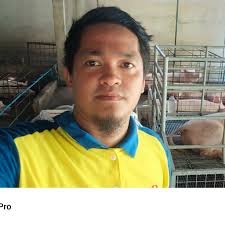 May isang nagsasaid ng pagkain. #baboy #fattening #reelsfypシ  #buhayhograiser #buhaymagbababoy #reelsvideoシ #piggerybusiness #magbababoy  #pigfarming #highlight #putaktehv