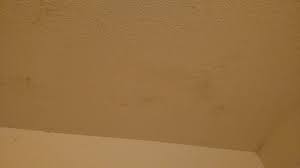 Maybe you would like to learn more about one of these? Is This Mold Growing On My Shower Ceiling Home Improvement Stack Exchange