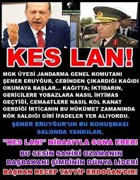 Rt Erdogan Panosundaki Pin