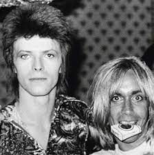 Features the remastered albums and a disc of outtakes, as well as three discs of live recordings that will be officially released (with the endorsement of iggy pop) for the first time. Iggy Pop And David Bowie Buddy Biopic Coming
