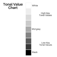 Tonal Value Chart Tonal Value Also Known As Tone Or Value Is Defined As The Lightness Or Darkness Of Colour This Nine Step S Tonal Value Chart Value Scale