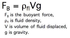 Fluids: Archimedes' Principle | Paige's Physics Blog