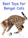 Cat Toys | Bengal Cats – Bengals Illustrated