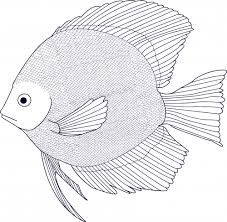 Dolphin jumping over the waves. Black And White Fish Coloring Page Kidspressmagazine Com