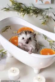 Press question mark to learn the rest of the keyboard shortcuts 51xno5tpp4q9pm