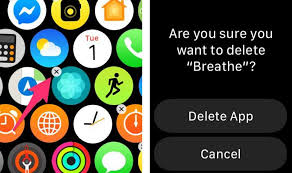 Delete app on apple watch grid view! Apple Watch Update 6 New Features We Love About Watchos 6 Cnet