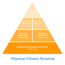 Their exercise routine and tips on their social media accounts. Physical Fitness Pyramid Physical Activities Ranked From More To Less