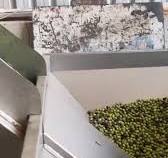 Meet the Hawk-Eye Olive Color Sorting Machine., Designed for high precision sorting with advanced camera technology and smart automation., ✔ Up to 30 channels, ✔ 99% efficiency, ✔ WiFi connection & ...