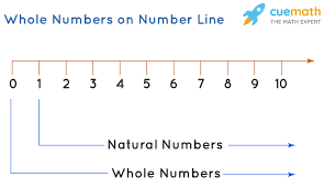 Note that only the points on the number line that have labeled values are whole numbers. What Are Whole Numbers Definition Examples Solutions