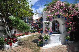 We did not find results for: Cordoba Un Patio De Flores Noticias De Enfermeria Y Salud