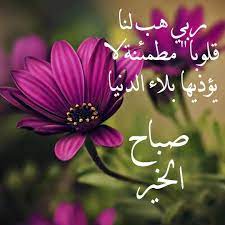 pin by om aziz on صباح الخير good morning beautiful morning messages good morning images morning greeting