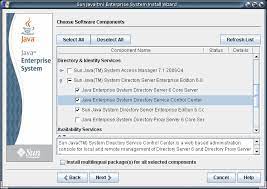 Software Installation (Sun Java System Directory Server Enterprise Edition  6.0 Installation Guide)