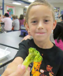 Comprehensive Annual Financial Report