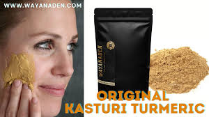 Buy Monbair Wild Turmeric Powder | Kasturi Turmeric/Kasturi Haldi |  Suitable For All Skin Type | For Tan Removal | Turmeric Natural Face Care |  No S, No Preservatives, No Pesticides, 100G,