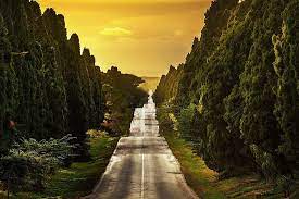 Hotels in castagneto carducci downtown, italy. Castagneto Carducci Fotos Besondere Castagneto Carducci Province Of Livorno Bilder Tripadvisor