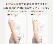 EMS腹筋 ベルト キャビテーション 美ボディ腹筋ベルト イー・エム・エー ポータブルマルチダイエット美容器 EMS キャビテーション  温熱振動赤青LED FN-REO020 1個（直送品） - アスクル