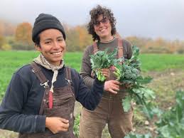 Rock Steady Farm
