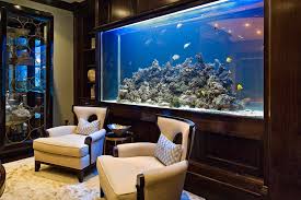 Fish n fun aquarium & pets. Reasons To Have An Aquarium In Your Home Or Office Icasnetwork Learn Blogging And Making Money Easily