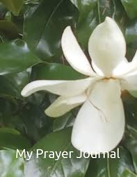 In euery thing giue thankes: My Prayer Journal 1 Thessalonians 5 16 18 Esv Rejoice Always Pray Without Ceasing Give Thanks In All Circumstances For This Is The Will Of God In Christ J Elaine Rose 9781717756442 Amazon Com Books