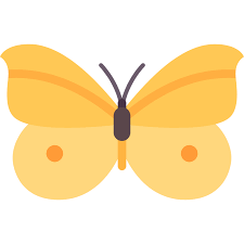 Download Butterfly Vector Svg Icon 3 Svg Repo PSD Mockup Templates