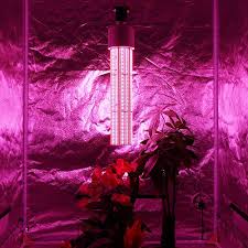 Led grow lights prove themselves to the skeptics very quickly. Problems Should Be Avoided When Using The Led Grow Lights By Led Sinjia Medium