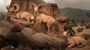 Las Vegas Natural History Museum The Complete Guide