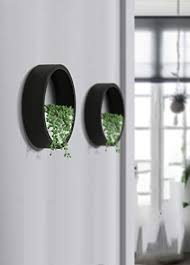 Creating a hanging planter is simple. Ecosides Wall Mounted Planter Wall Hanging Planters Metal Plant Terrarium For Indoor Planter Round Terrarium For Faux Flower Air Plant Holders Decorative Morden Circle Iron Vase For Succulent Mk Library
