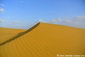 To get to my camel safari in the thar desert, i had driven from jodhpur some 300 kilometers through the indian state of rajasthan along the ancient silk and opium route. My Camel Safari In Jaisalmer India Curiosity Escapes