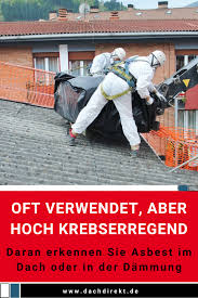 Wie Hoch Ist Die Gefahr Durch Asbest Dach Dachsanierung Sanierung