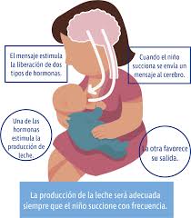 Encuentra imágenes de la lactancia materna. Lactancia Materna Bienestar Ips