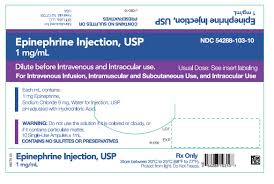 Epinephrine Bpi Labs Llc Fda Package Insert