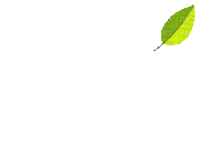 Leaves, falling, green, best, gifs, find, gfycat, gif leaves green, leaves green, gif leaves falling, the leaves are green, falling leaves, falling green leaves on a transparent background, green leaves animation without leaves, falling, gif, transparent, png, clipart, free, download, ywd. Automne Feuilles Gif Oranee Vert Leaves Autumn Fall Green Orange Gif Picmix