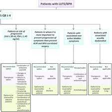 The role of cucurbita pepo in the management of patients affected by lower urinary tract symptoms due to benign prostatic hyperplasia: Pdf Evidence Based Guidelines For The Management Of Lower Urinary Tract Symptoms Related To Uncomplicated Benign Prostatic Hyperplasia In Italy Updated Summary